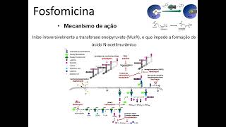 Agentes antimicrobianos usados para Infecções do Trato Urinário ITU [upl. by Onafets]