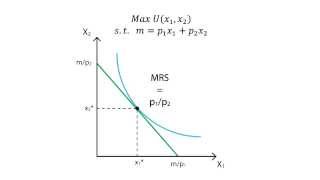 A6 Utility maximisation  Consumption  Microeconomics [upl. by Nyvlem100]