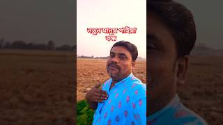 নতুন মানুষ পাইয়া বন্ধ আমায় গেছো ভুলে shortvideo trending tiktokvideo youtubeshorts song [upl. by Moira]