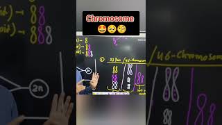 Human Chromosome  Ploidy in Human Chromosome chromosome ploidy gene viral shortindia [upl. by Llenrag]