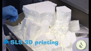 SLS 3D printing technology [upl. by Treblih683]