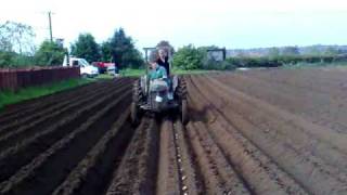 potato planting with diesel ferguson may 08 [upl. by Waters]