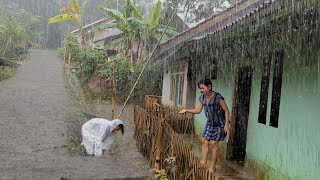 Super heavy rain and strong winds in my village  Sleep instantly with the sound of heavy rain [upl. by Anihtyc]