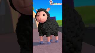 Marry had a little Lamb  Part 02  shorts kidsberry  Nursery Rhymes amp Baby Songs  Kidsberry [upl. by Ulrikaumeko]