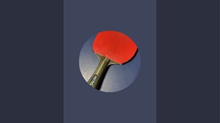 Table tennis 202410221 [upl. by Lenno534]