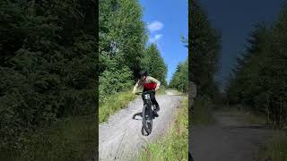 Laggan was mintvitus mtbworld vitusbikes bikelife downhill mountainbike foryou fyp wolftrax [upl. by Aikemet]