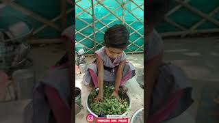 Dangri की सब्जी food cooking shorts masterchef princessgirlpalak [upl. by Pancho]