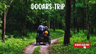 DOOARS TRIP  ONE OF THE DENSEST FOREST IN INDIA NORTH EAST TRIP DOOARS TRAVEL JANGLE SAFARI [upl. by Nwahsiek]