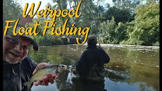 Float Fishing  Weir Pool Magic Video 262 [upl. by Clippard]