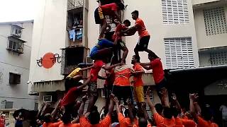 Dahi Handi 2017 Celebration in Mumbai [upl. by Broida]