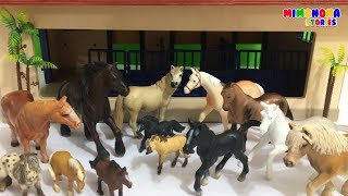 Caballos para niños 🐎  Animales de la Granja🐮🐷🐔  Videos Infantiles  Mimonona Stories [upl. by Burl]