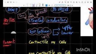 CVS cardiac Rhythmicity [upl. by Yrogerg]