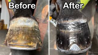 From Neglect to Renewal Horse Hoof Restoration ASMR [upl. by Inram]