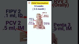 immunization schedule 2023  vaccination chart shorts shortsfeed [upl. by Odelet]