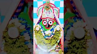 Jay Jagannath Swami pravachan short video like share⭕❗⭕🌺🙏♥️🌞👏💐🌟 subscribejay shyam 711241300🙏 [upl. by Eisset]