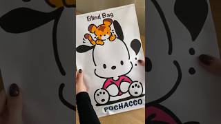 Pochacco Blind Bag blindbagpaper diy papercraft sanrio youtubeshorts asmrvideo [upl. by Eciral909]