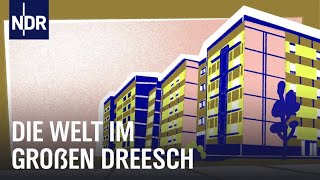 Leben im Hochhaus  Dreesch 1  3  Doku  NDR Story [upl. by Moht]