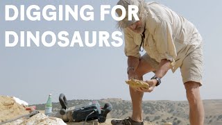 Paleontologists dig for Jurassic dinosaur fossils [upl. by Opiuuk710]