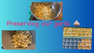 Preserving our garlic🧄 [upl. by Ecniv184]