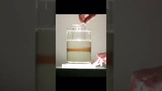 Laminar flow pls like and subscribe science vigyanrecharge shorts [upl. by Kovacev]