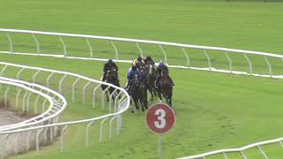 Heat 7 Doomben Jumpouts 2604 [upl. by Enelam]