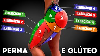 7 Melhores Exercícios Para Pernas e Glúteos Treino Em Casa [upl. by Klaus]