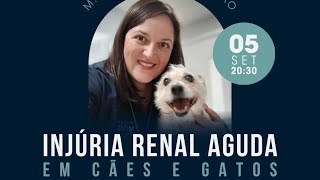 Injúria renal aguda em cães e gatos [upl. by Esilegna]