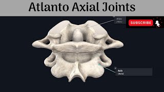 Atlanto  Axial Joints  Median amp Lateral Joints  Articular surfaces Ligaments Movements Muscles [upl. by Bradway]