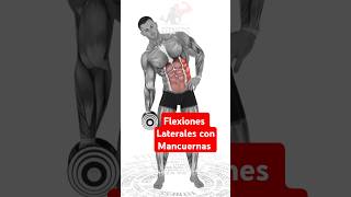 Ejercicio flexión lateral con mancuernas motivation fitness [upl. by Ennagrom]