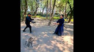 Katana vs Rapier esgrima martialarts [upl. by Neggem]