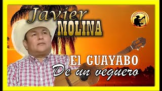 🟡El guayabo de un veguero  Javier Molina 🤠 [upl. by Madden587]