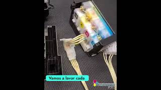 Reseteo de almohadillas epson l355 y mantenimiento printer tecnologia impretoner ejecafetero [upl. by Nalorac]