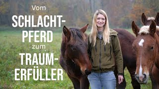 😍Darf ich vorstellen Vom Schlachtpferd zum Traumerfüller  Mein neues Kapitel​🐎​ [upl. by Tudela]