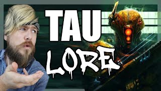 TAU EMPIRE Species EXPLAINED  WARHAMMER 40k Lore [upl. by Barthold]