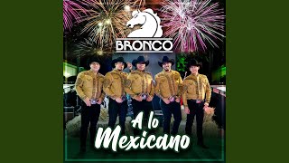 Oro Bronco Con Mariachi [upl. by Etnahs]