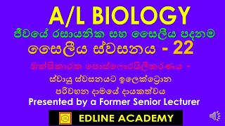 Contribution of electron transport chain to aerobic respiration AL Biology Sinhala Lessons [upl. by Octavla]