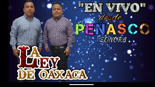 PUERTOPEÑASCO CHILENASENVIVO LA LEY DE OAXACA EN VIVO 2022 [upl. by Stiruc]