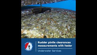 Rudder pintle clearances measurements with feeler  DIVING STATUS [upl. by Liakim383]