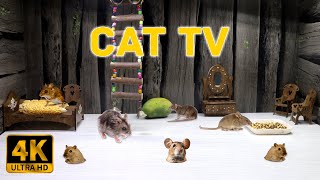 Cat TV Mice Hide and Seek  Ultimate Mouse Chase Fun Rat food time Cat Games 4k 8 hours [upl. by Auhesoj]