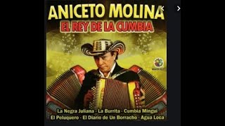 MIX DE ANICETO MOLINA [upl. by Assert880]