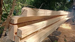 Splitting Bagalunga tree to lumber  Chainsawmill Hardwood  Satisfying Technique dodongjunrey [upl. by Silvie]