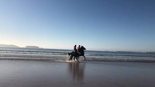 Travel to morocco 2019 essaouira Beach horse riding amp surfing amp Sahara amp africa [upl. by Ainolloppa754]