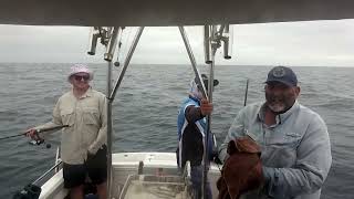 Matty Marlin with Smithys Fishing Charters Mooloolaba Sunshine Coast Dec 2022 [upl. by Acsirp521]