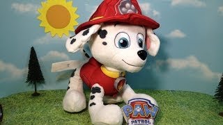 PAW PATROL Real Talking Marshall Toy Unboxing [upl. by Lekcar]