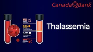 Thalassemia [upl. by Gant374]