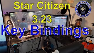 Star Citizen 323 Key Bindings  Dual Sticks and Rudder Pedals  Virpil Constellation Alphas [upl. by Akli71]