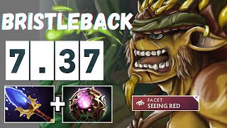 THIS NEW FACET BRINGS BACK THE BEST OFFLANER  Bristleback Dota 2 [upl. by Si]