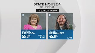 Progressive incumbents in State House elections defeated in Dem primary [upl. by Mendel]