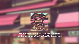 tabalagh bil qaleel  slowed  reverb [upl. by Emrich]