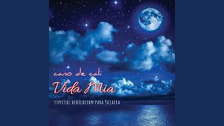 Vida Mia [upl. by Lisab]